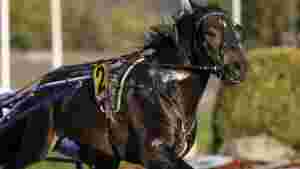 1.23-traver solgt