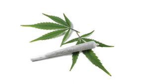 Fant spor av cannabis