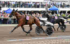 - Elitloppet er drømmen