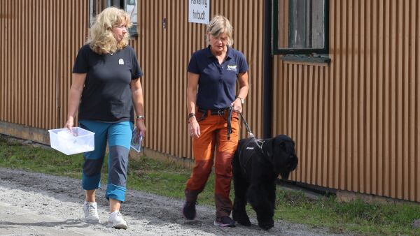 Holder igjen premiepenger