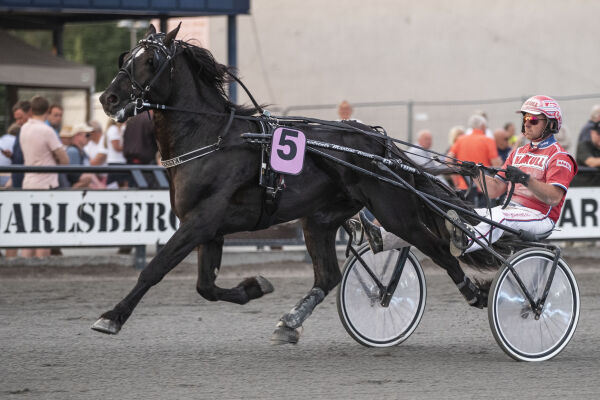Dom til jul, norsk Solvalla-sjef og på plass i Sverige