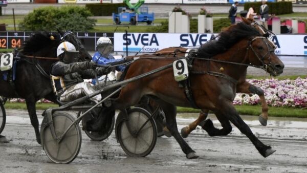 Innenfor budsjett, vinnerhest på plass og fransk debut