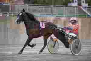 Mister hele sesongen
