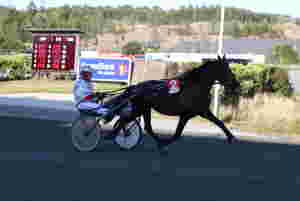 Sørlandsk trippel