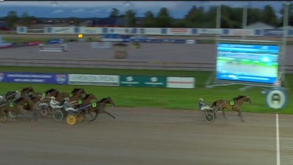 Global Bred To Win overlegen
