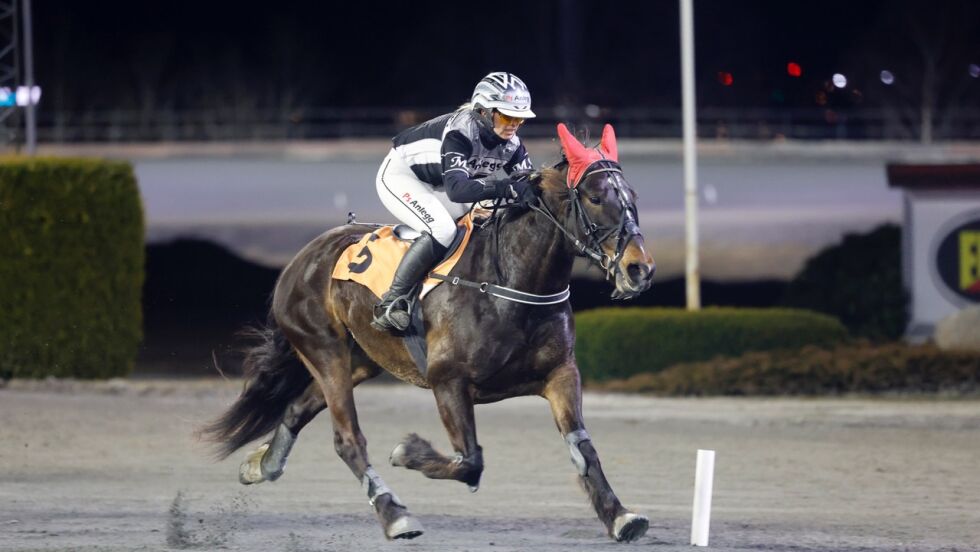 Vital Vinter og Martine Finsand.
 Foto: hesteguiden.com