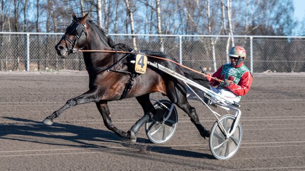 Debuterer i avlen