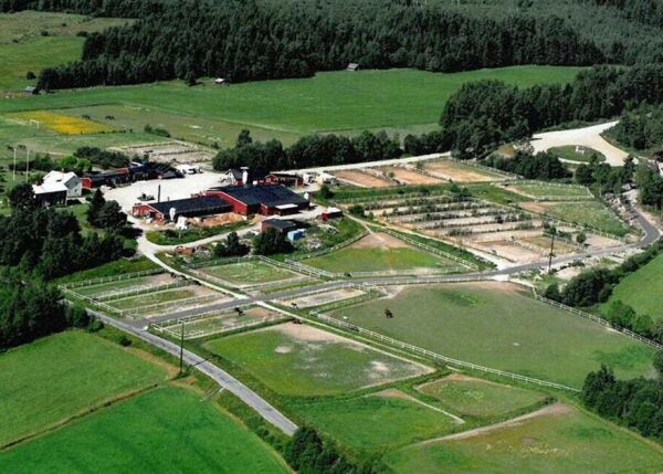 Wolden vurdere å flytte