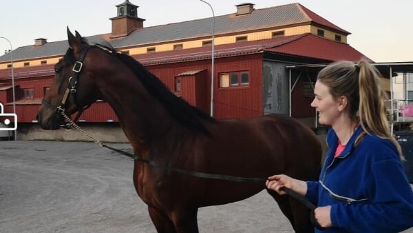 - Han kommer til å gi jernet