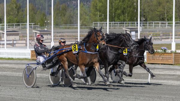 - Har litt nerver og sosial angst