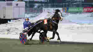 Helenkelt for Blekkans prins
