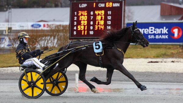 Snakkhest til Heisholt