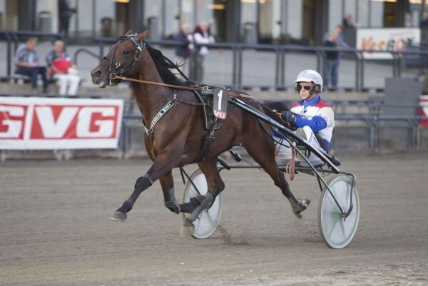 Vincennes-vinnerens bror selges