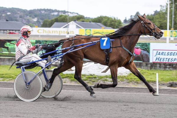 - Ingen enkel dame