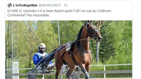 Avviser spekulasjonene