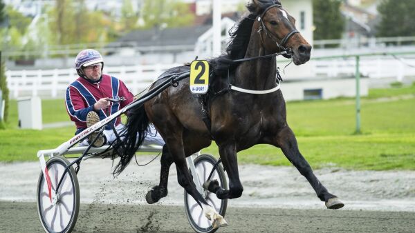Jan Lyng med nok en topp-traver. Kan vel ikke tape?