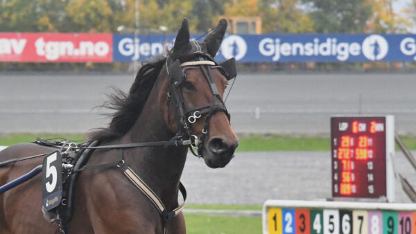 En av Norges beste hester er solgt