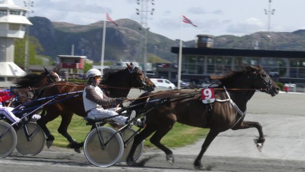 Voldsomme bøter for corona-brudd