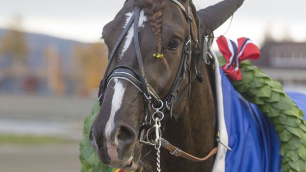 Bygges langsomt opp