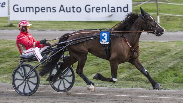 Vinnerhoppa blir norsk igjen