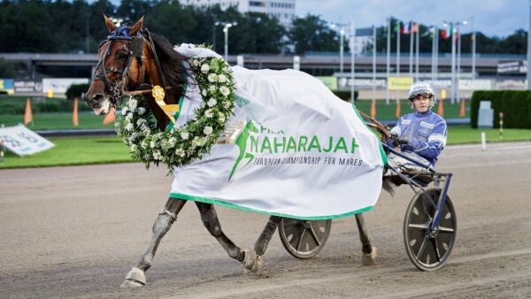 12 forsvant ut av landet i april