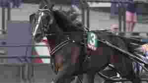 1.12,0-traver solgt