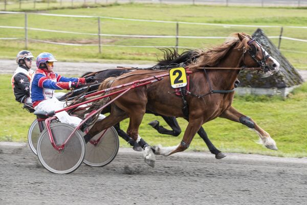 - Tror de andre blir for gode