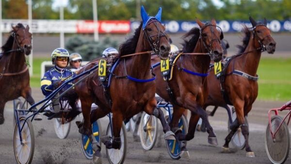 Tipsene til Leangen er publisert