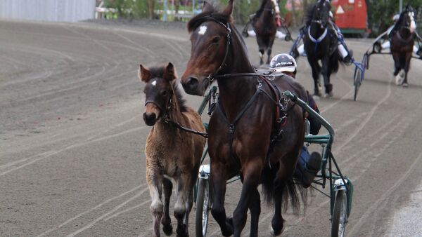 Tommel ned for Skrugstad