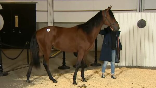 Fikk 240.000 kroner