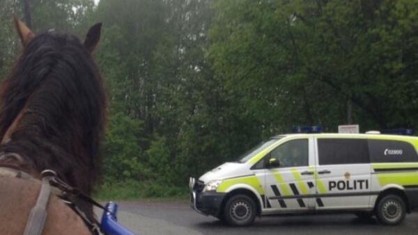 Kolliderte med løs hest