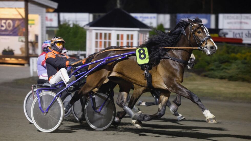 Kaspian T satte punktum for V75-omgangen.
 Foto: hesteguiden.com