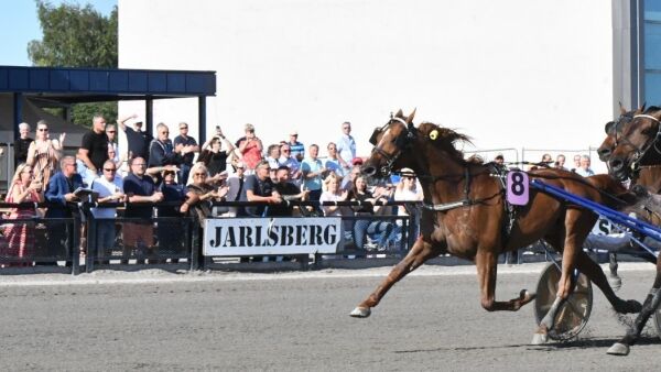 Blir kontantfrie