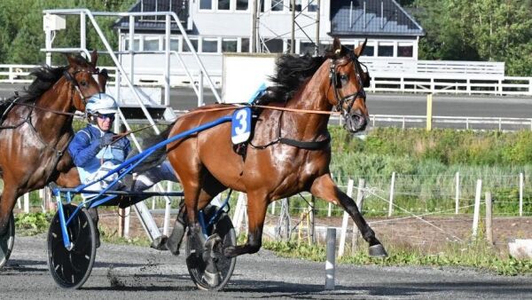 Vinnerhesten til Sverige