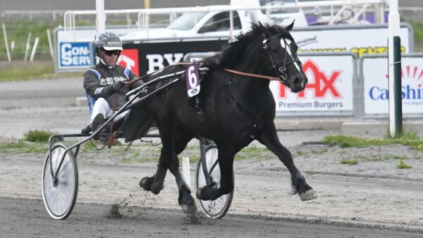 Stygg skade kostet den livet