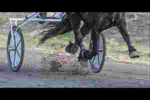 Mener feil hest startet