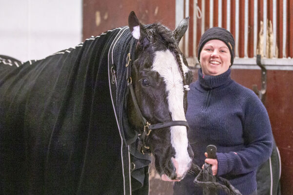 Elleville krav, kjøpte Hamre-hest og ba om 14 års fengsel