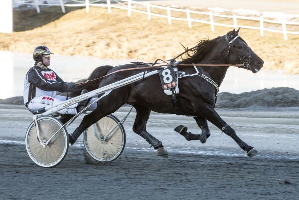 Elitetraveren ute med ny skade