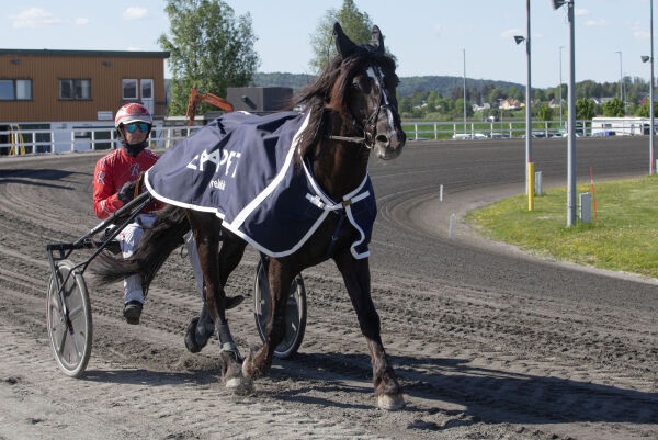 Norsk dominans?