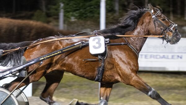 - Ikke hatt selvtillit