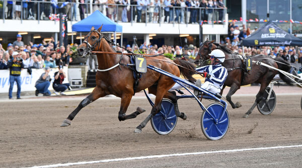 Elitloppsvinneren med ny seier