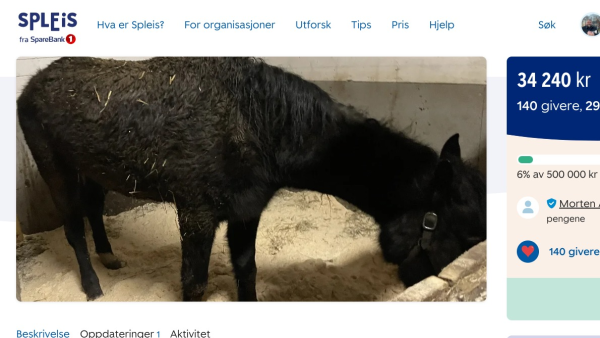 Har dukket opp Spleis