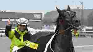 - Hadde alle hester hatt et hode som henne