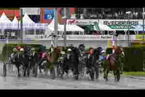 Speedrace for kaldblods