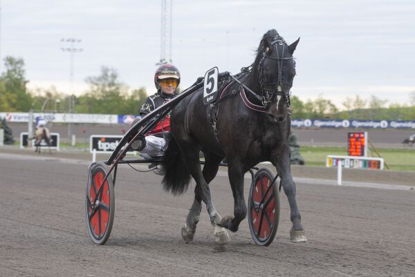 Selger topphoppa