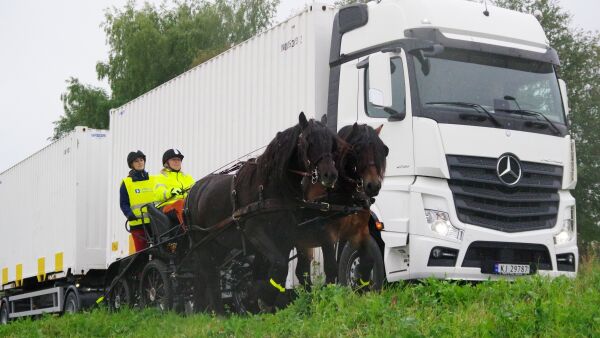 Registrerer alle hesteulykker