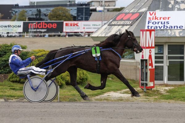 Seiersmaskin flyttet