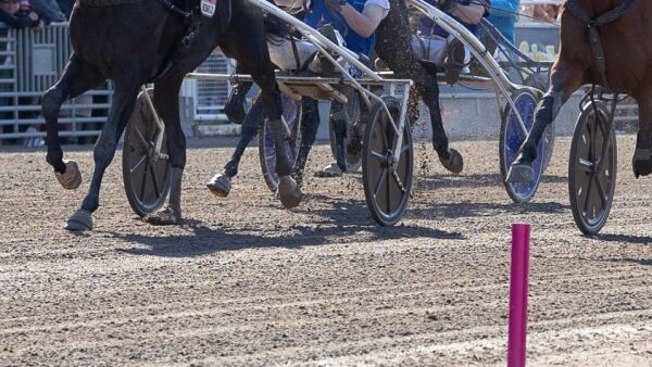 Drivingen i Elitloppet kostet dyrt