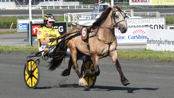 Omsetning, doping og unghester
