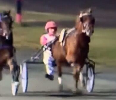 - Mener kusk sparket hest